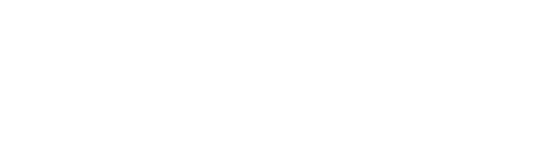 综合风险查询